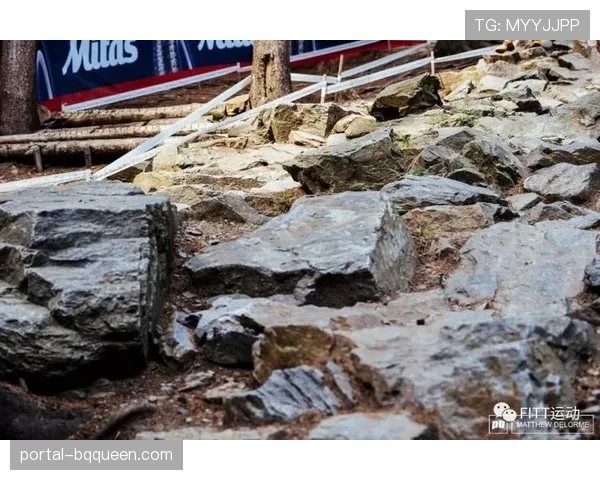 深度调查：世界杯赛道设计与车手伤病率关联性报告引发对“难度竞赛”的讨论